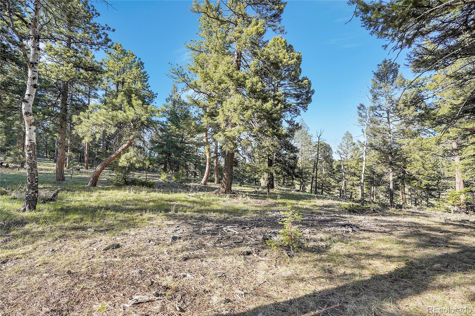 Molly Dr, Lot #1 Conifer CO 80433