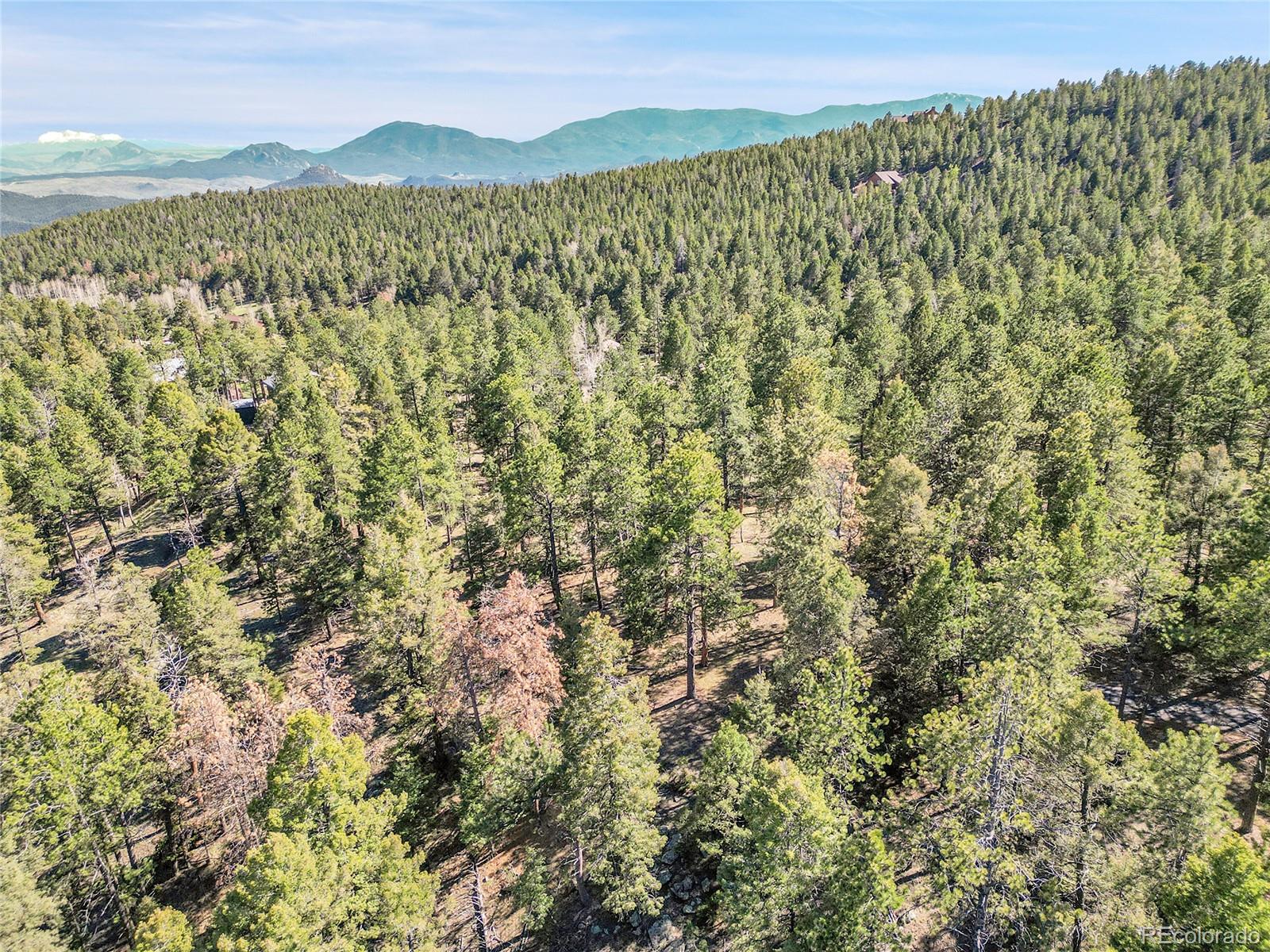 Molly Dr, Lot #1 Conifer CO 80433