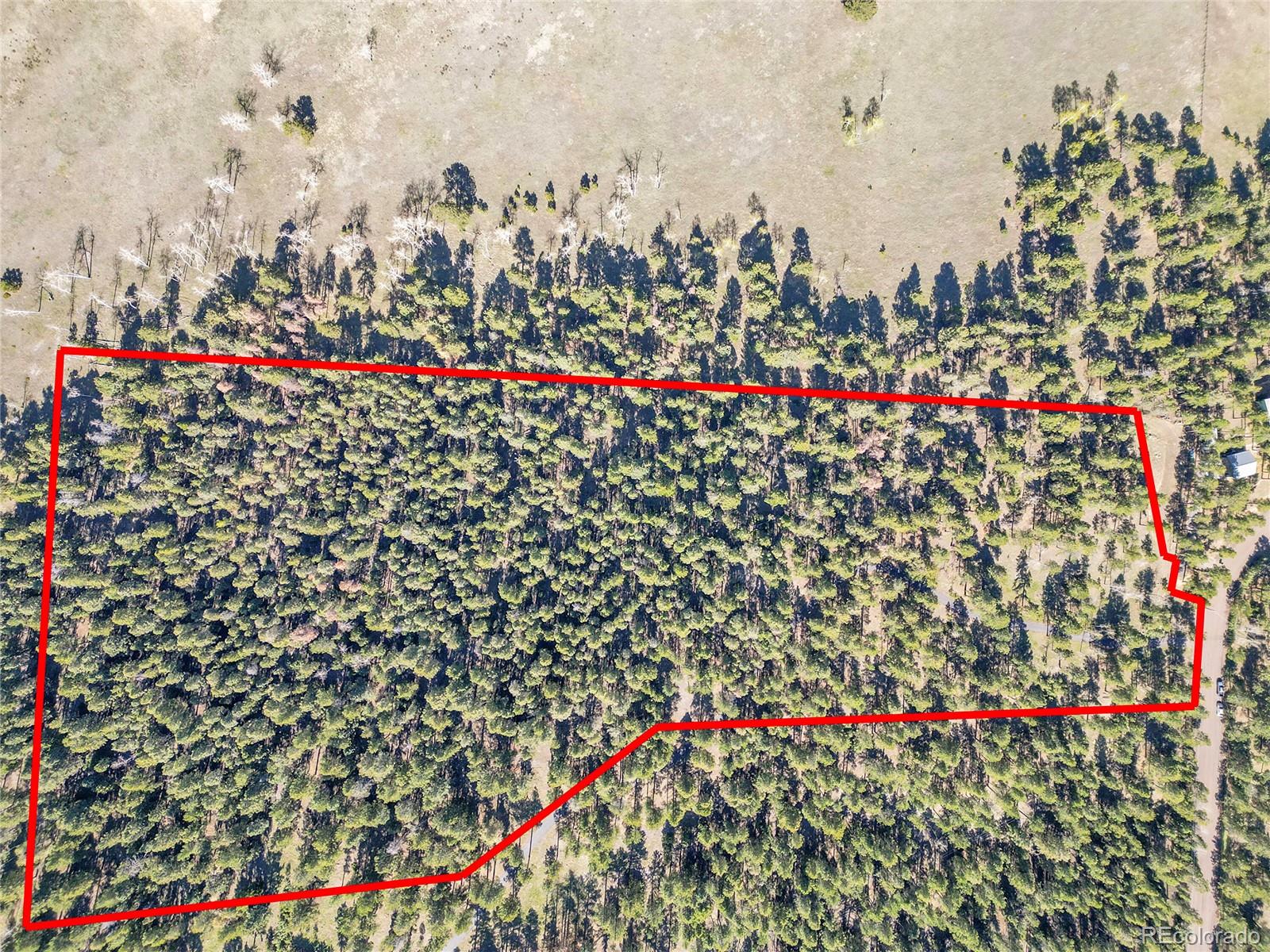 Molly Dr, Lot #1 Conifer CO 80433
