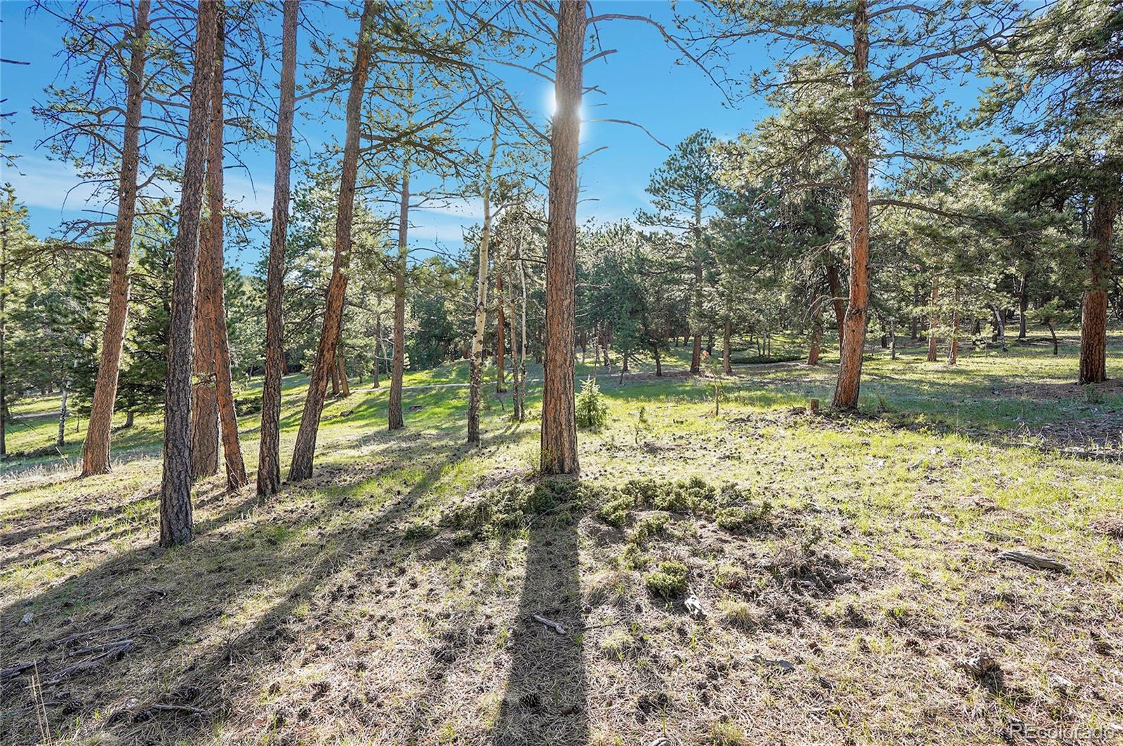 Molly Dr, Lot #1 Conifer CO 80433