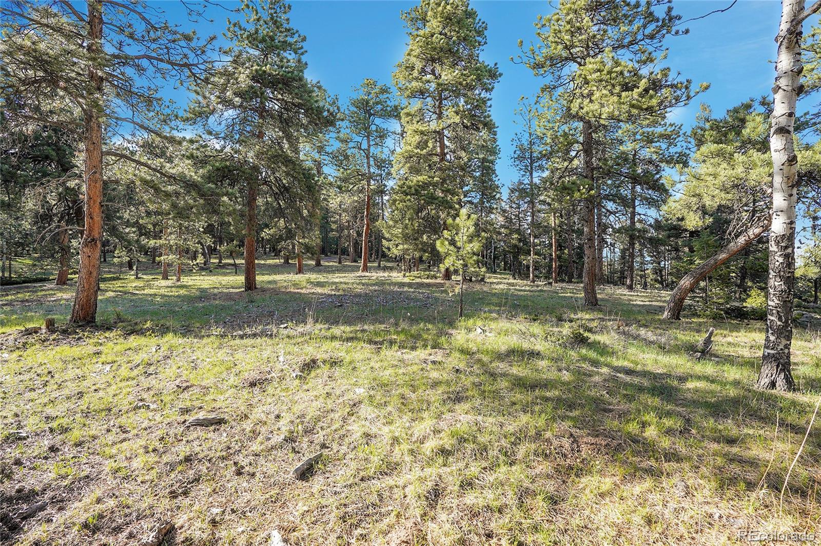 Molly Dr, Lot #1 Conifer CO 80433