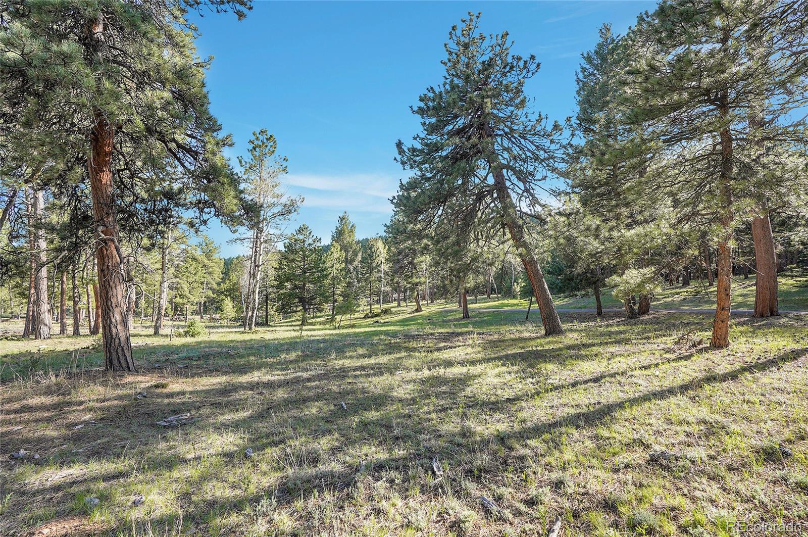 Molly Dr, Lot #1 Conifer CO 80433