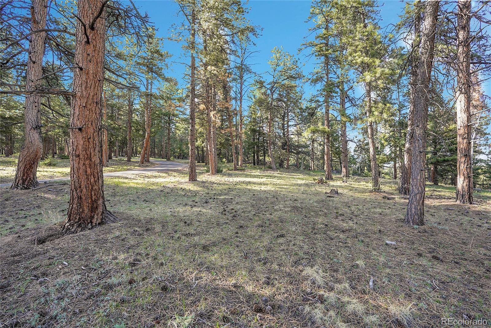 Molly Dr, Lot #1 Conifer CO 80433