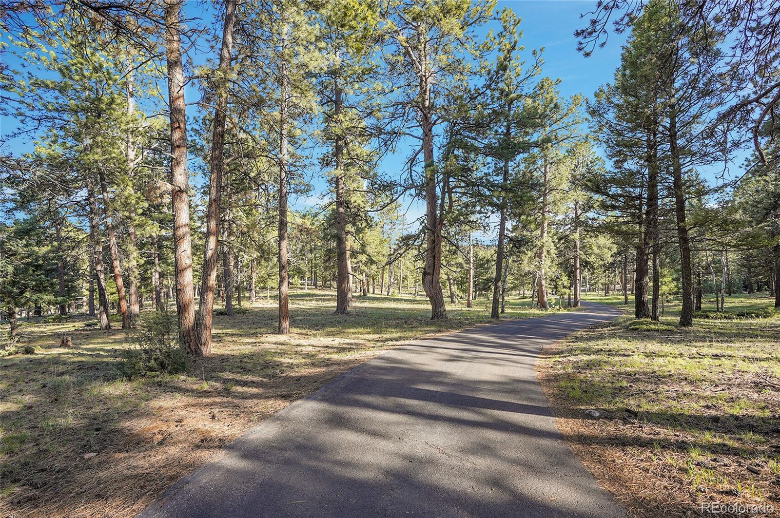 Molly Dr, Lot #1 Conifer CO 80433