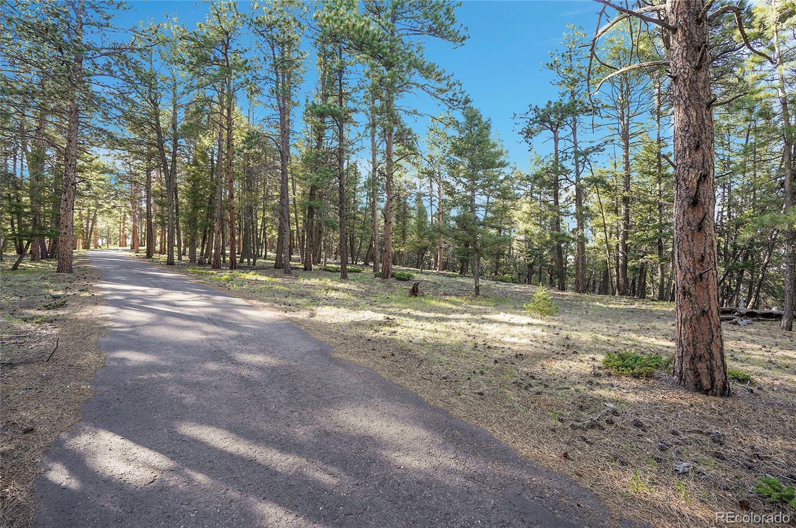 Molly Dr, Lot #1 Conifer CO 80433