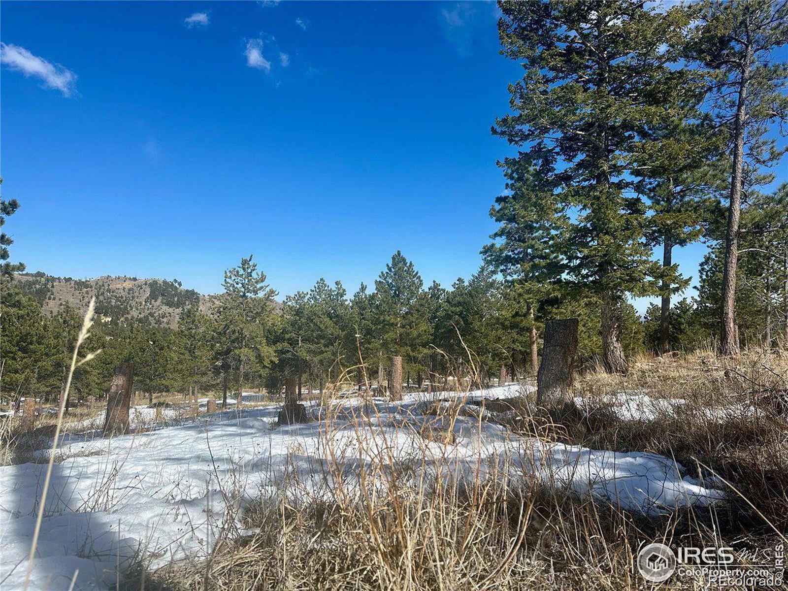783 Dixon Road Boulder CO 80302