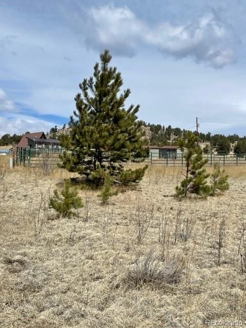 57 Fish Creek Florissant CO 80816