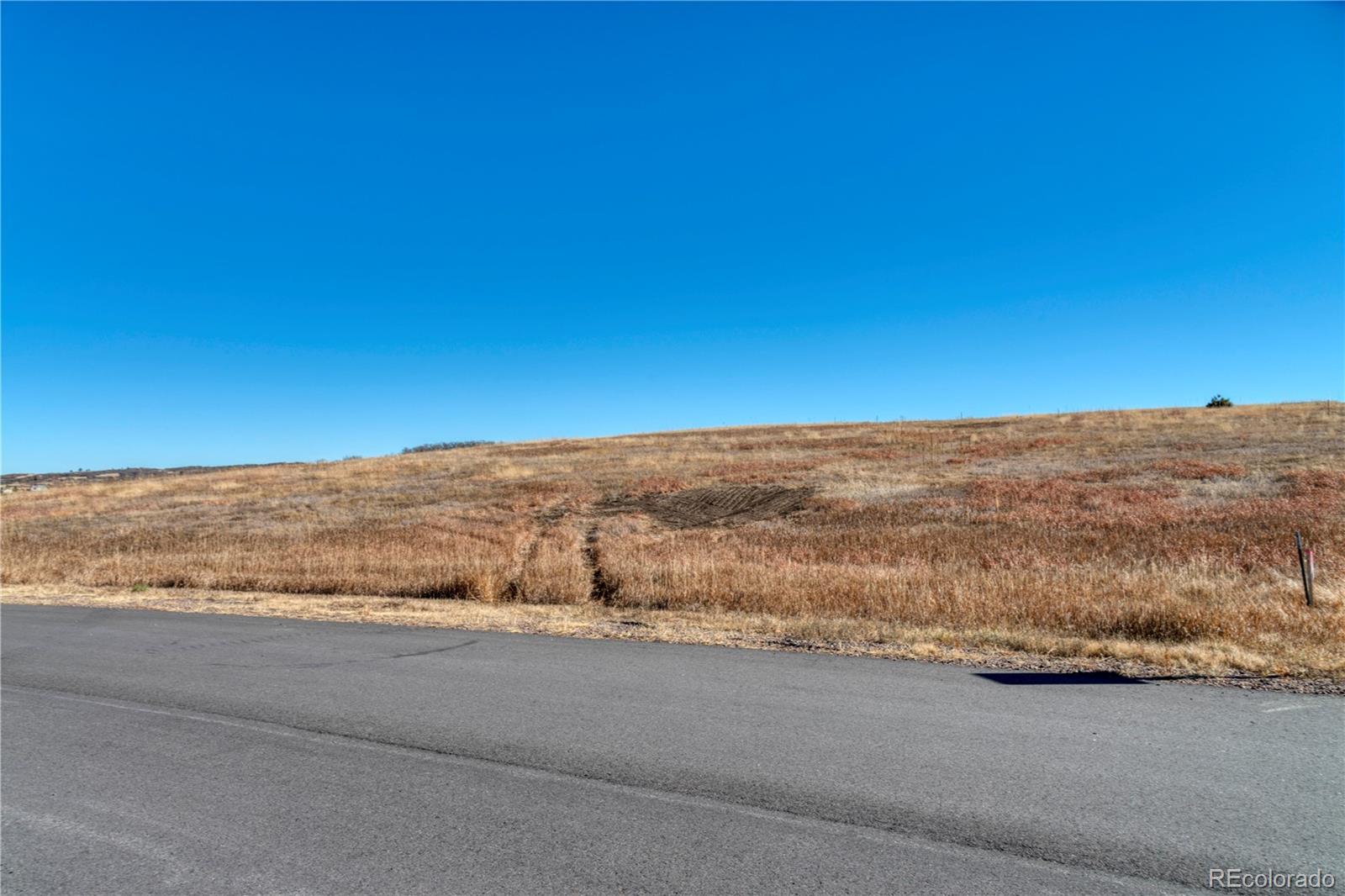 2490 Browning Drive Castle Rock CO 80109