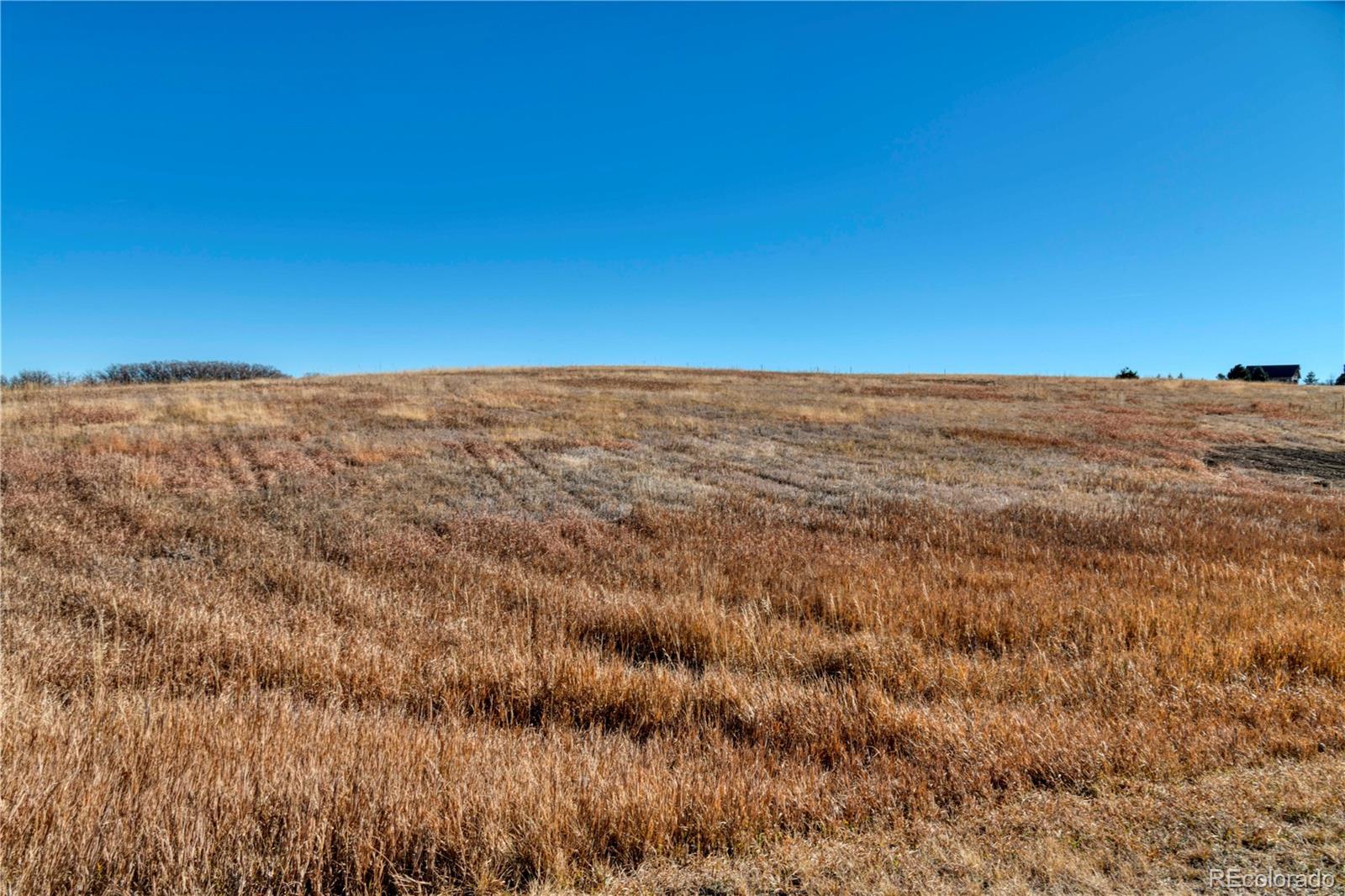 2490 Browning Drive Castle Rock CO 80109