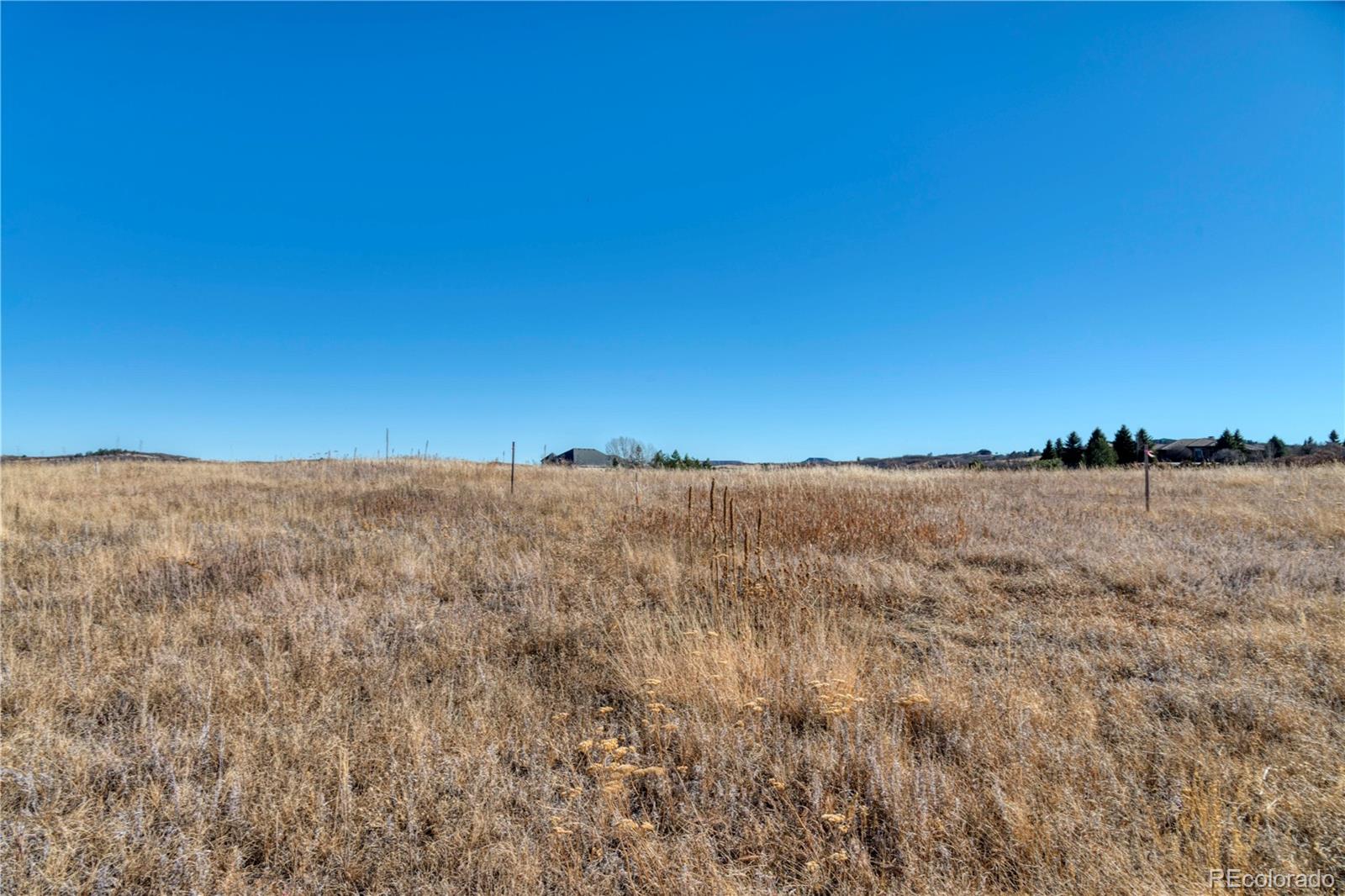 2490 Browning Drive Castle Rock CO 80109