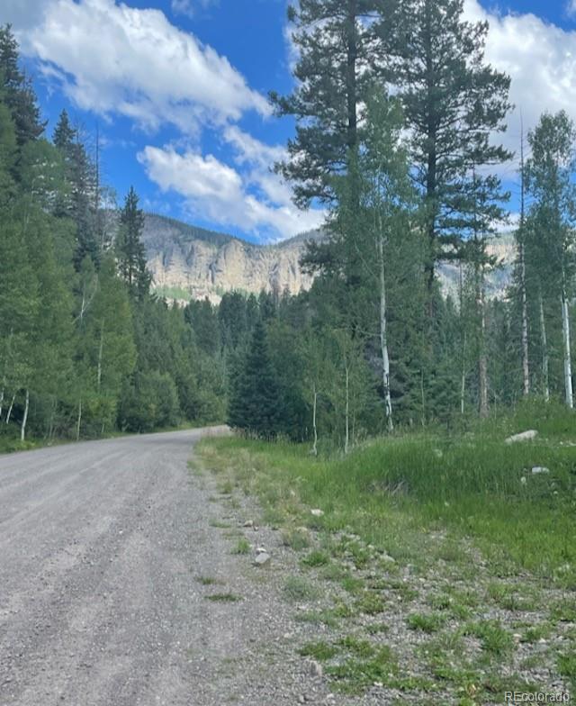207 Camp Robber Drive Creede CO 81130