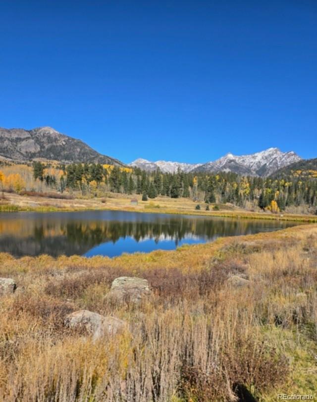 207 Camp Robber Drive Creede CO 81130