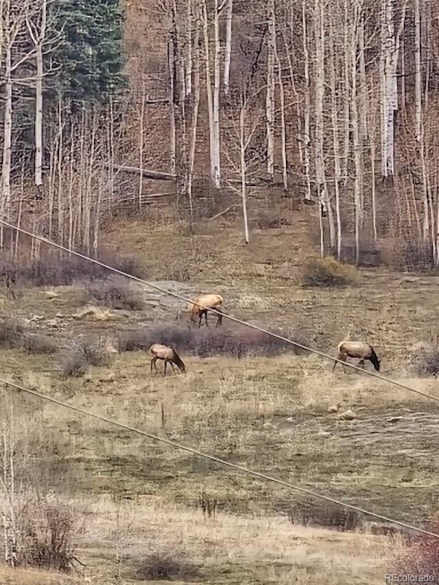 207 Camp Robber Drive Creede CO 81130