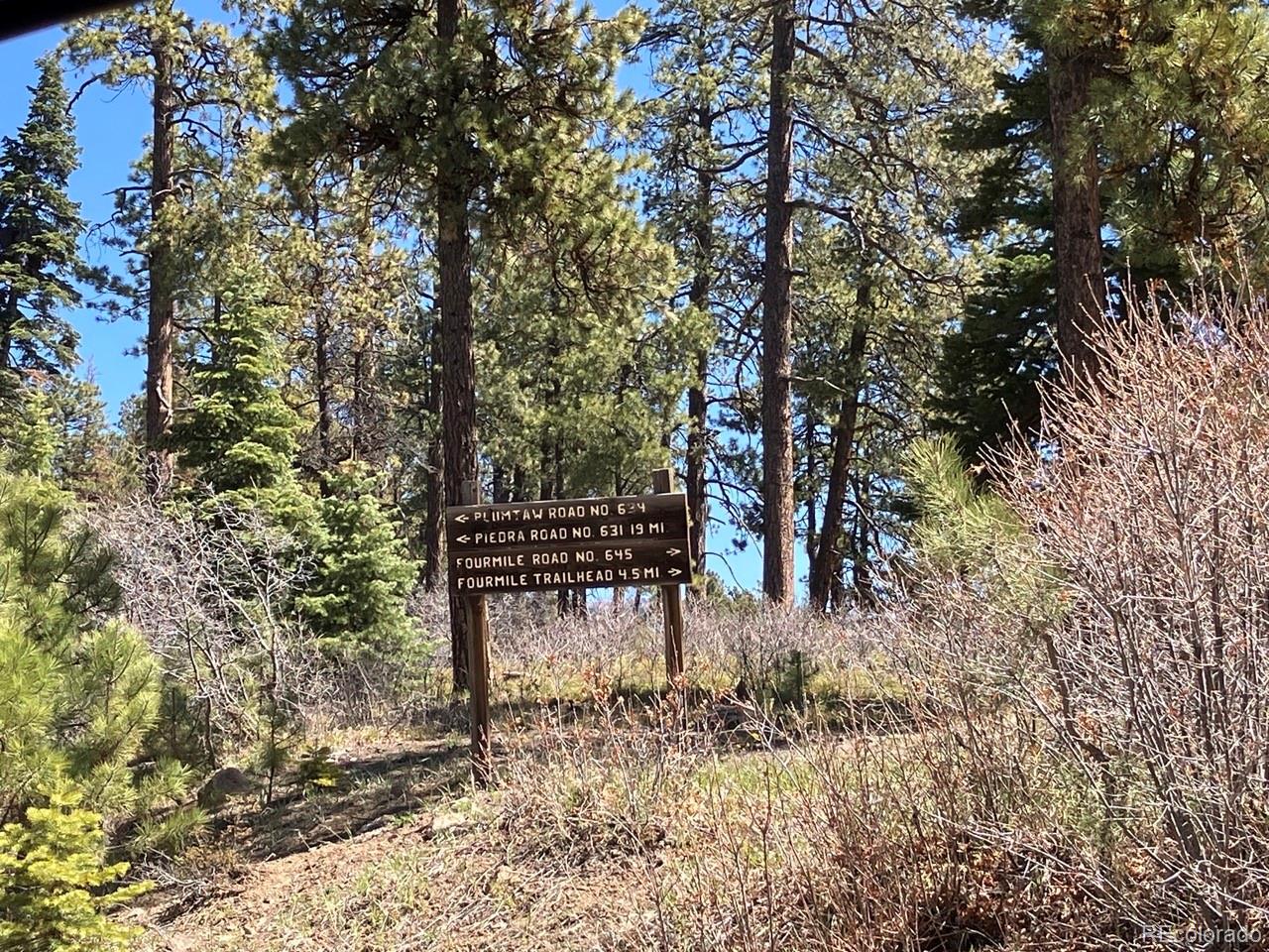 207 Camp Robber Drive Creede CO 81130