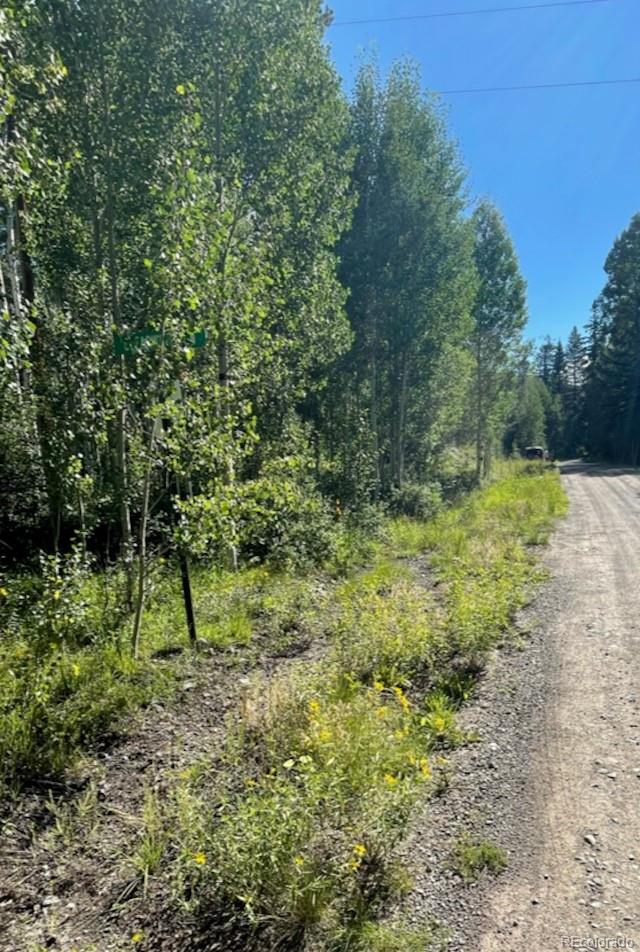 207 Camp Robber Drive Creede CO 81130