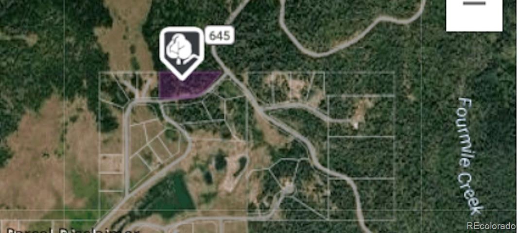 207 Camp Robber Drive Creede CO 81130