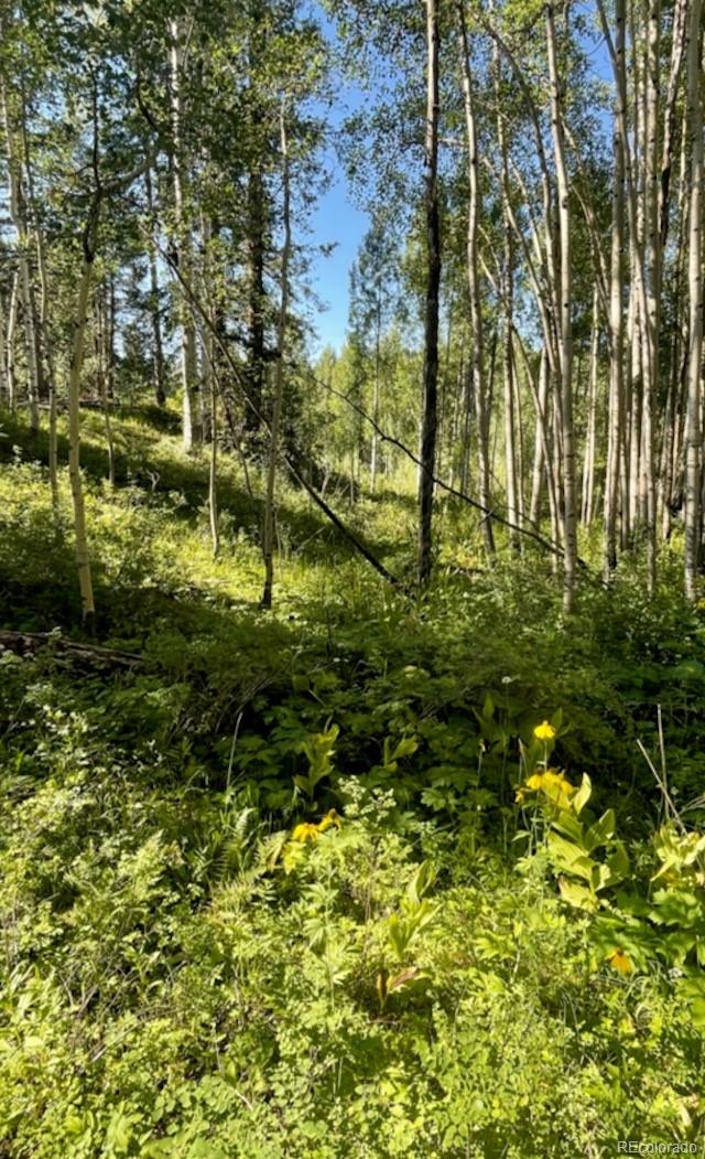 207 Camp Robber Drive Creede CO 81130