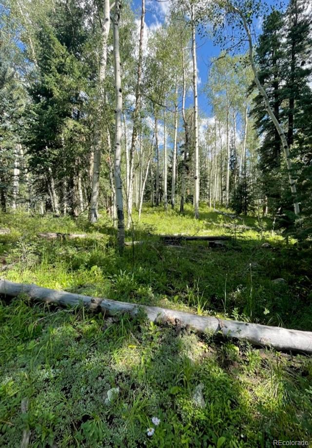 207 Camp Robber Drive Creede CO 81130