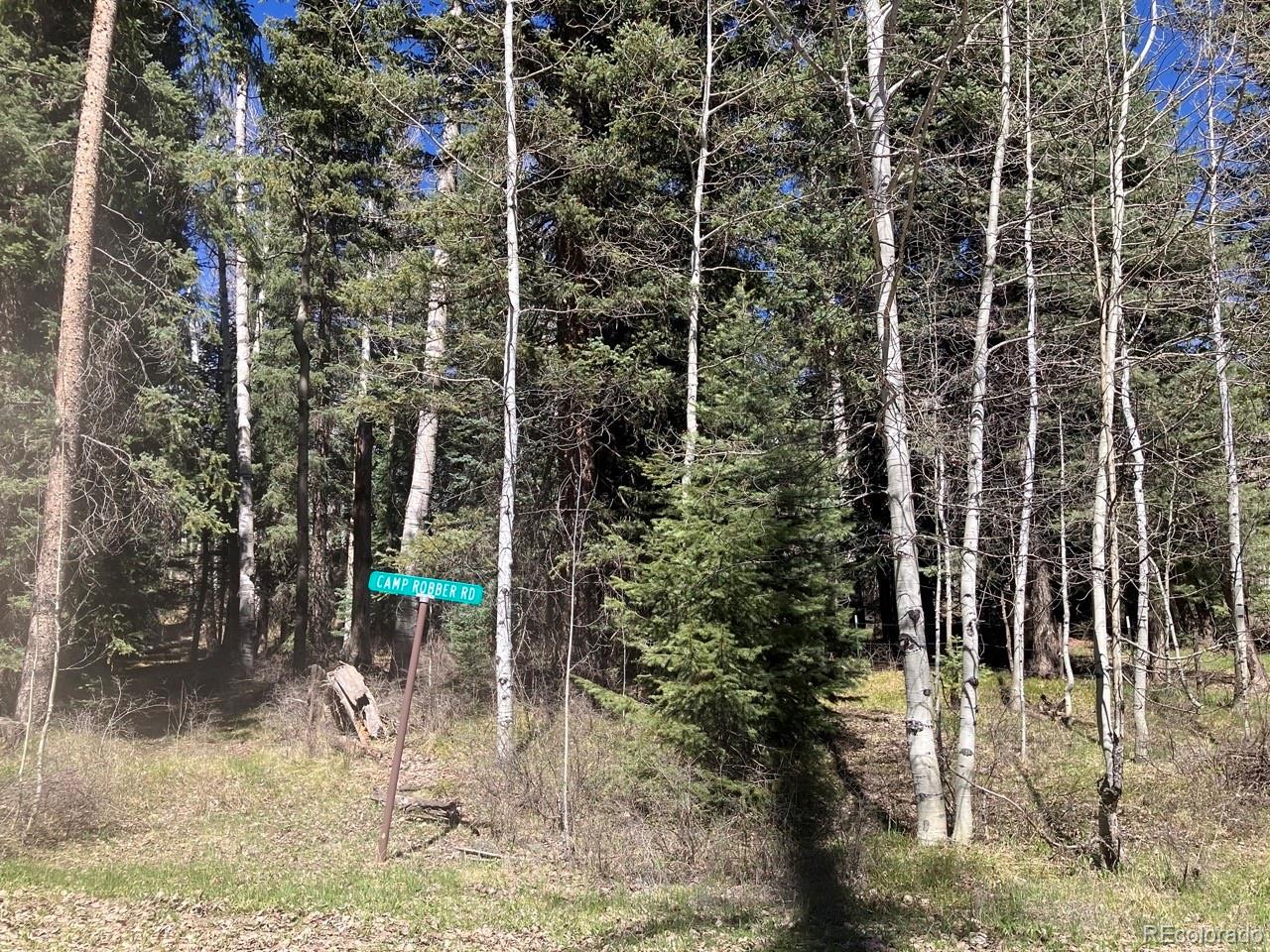 207 Camp Robber Drive Creede CO 81130
