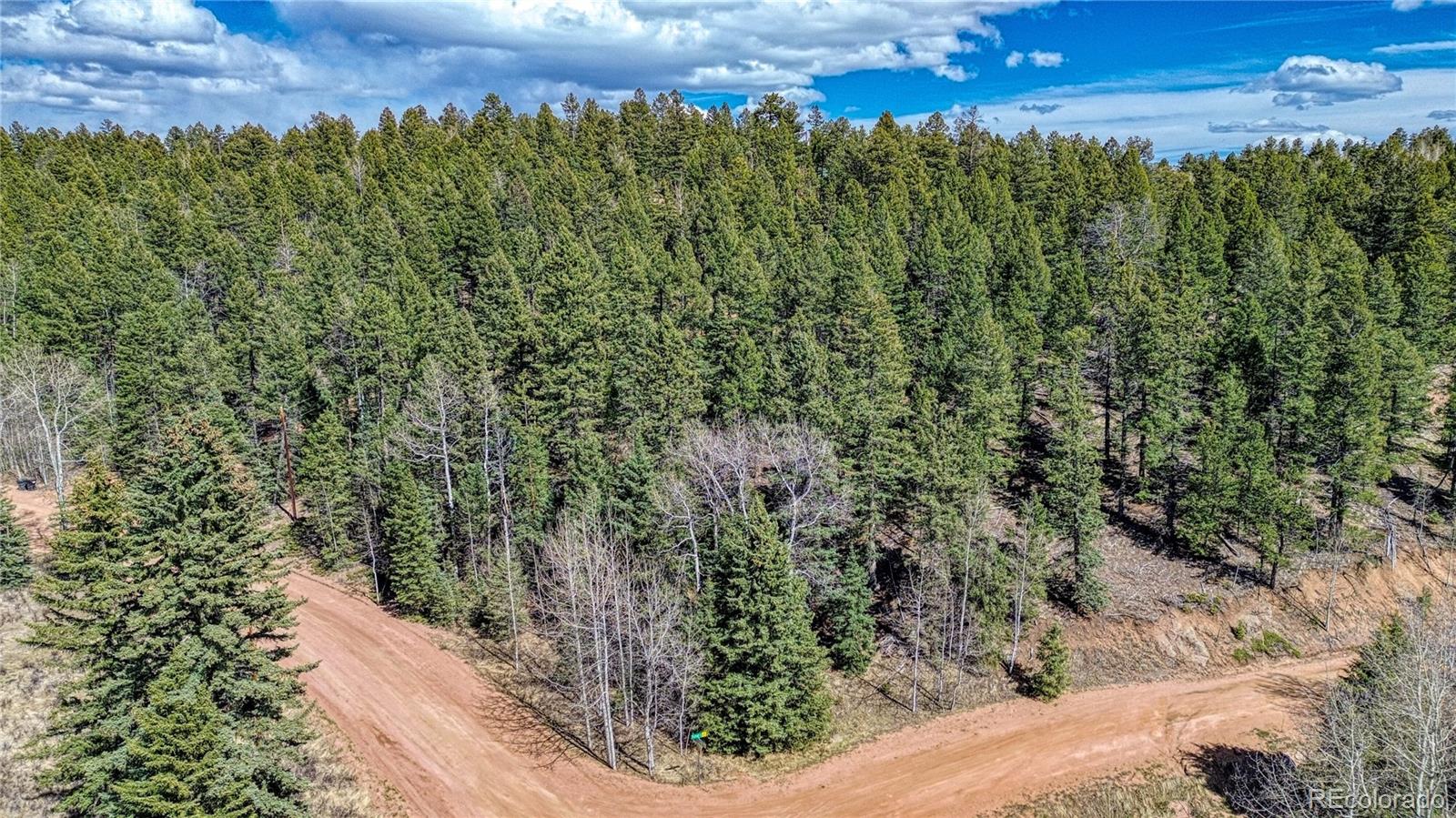 3075 N Mountain Estates Road Florissant CO 80816