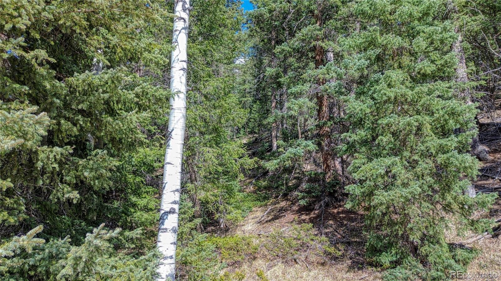 3075 N Mountain Estates Road Florissant CO 80816