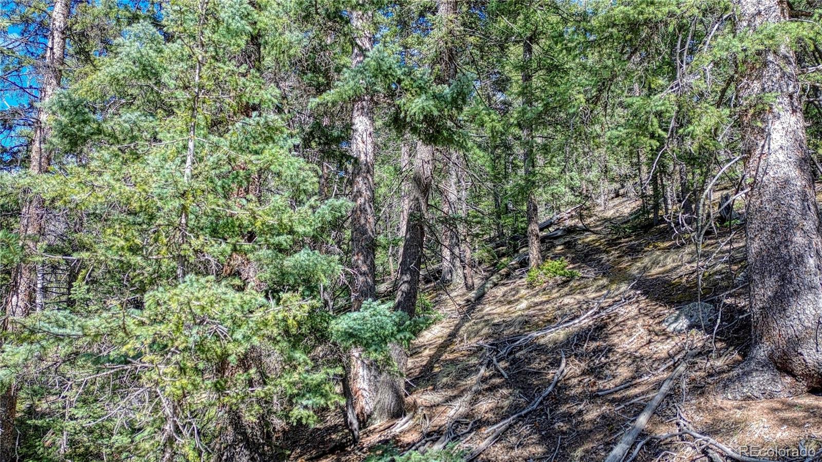 3075 N Mountain Estates Road Florissant CO 80816