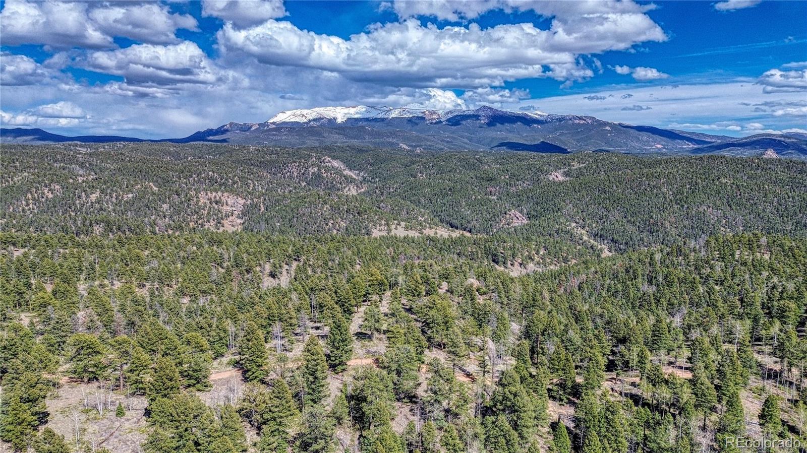 3075 N Mountain Estates Road Florissant CO 80816