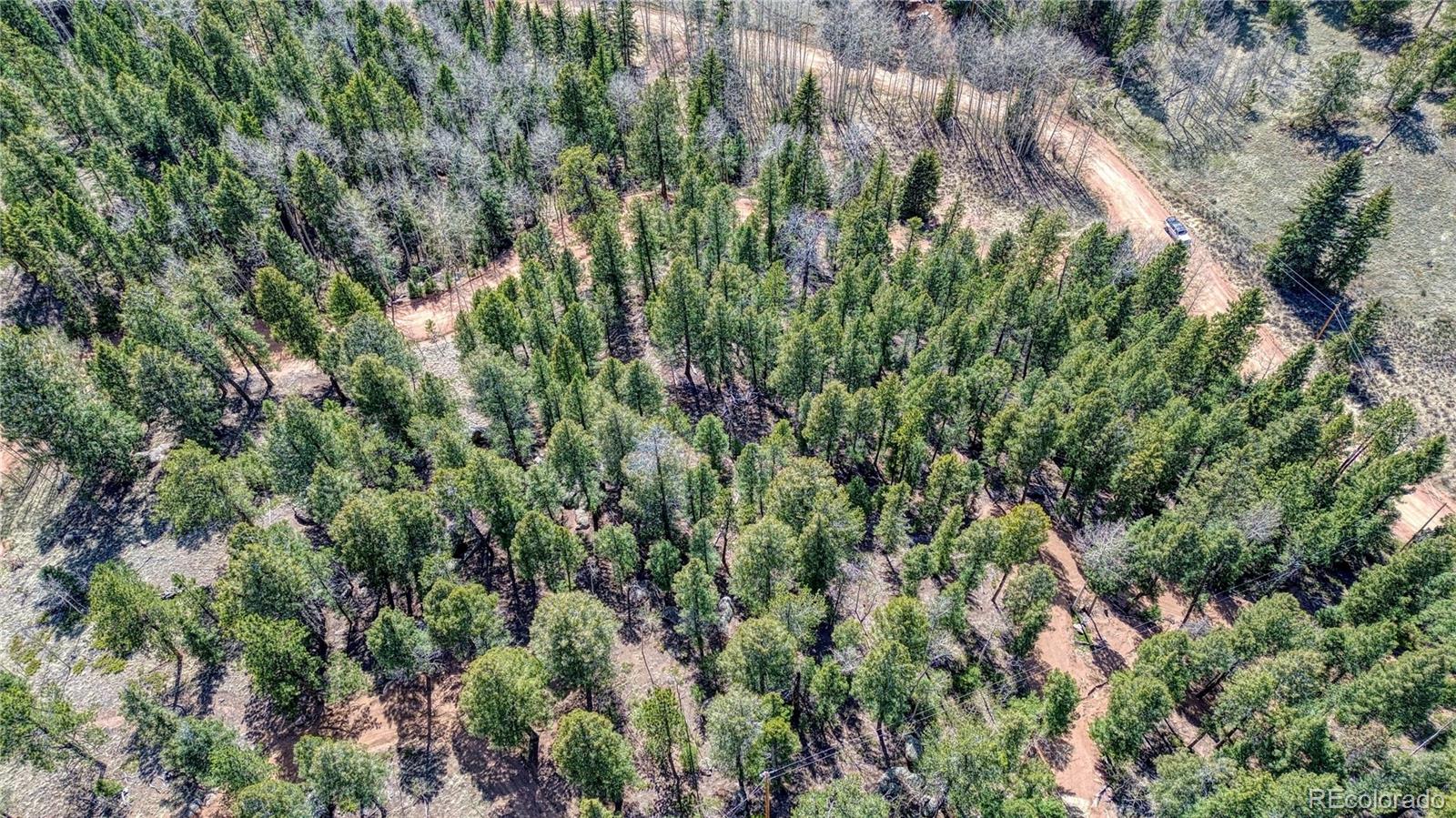 3075 N Mountain Estates Road Florissant CO 80816