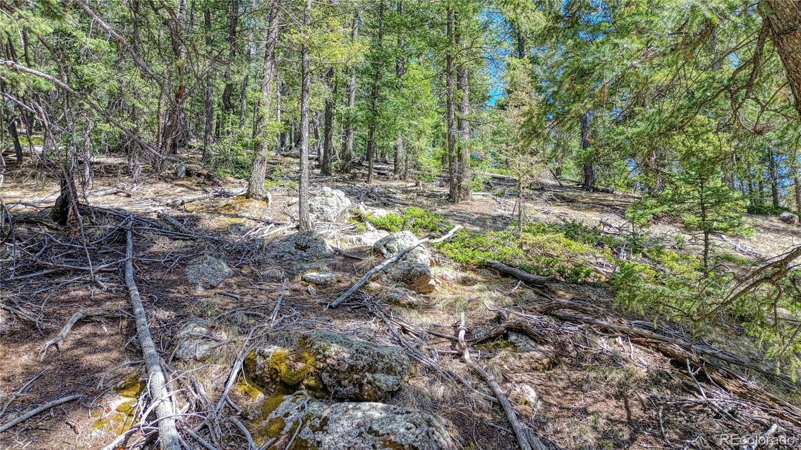 3075 N Mountain Estates Road Florissant CO 80816