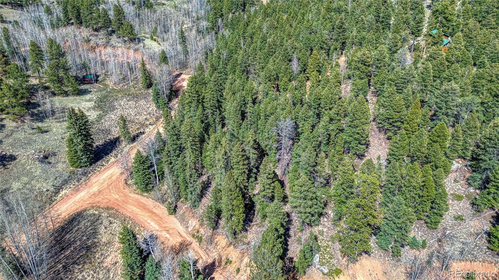 3075 N Mountain Estates Road Florissant CO 80816