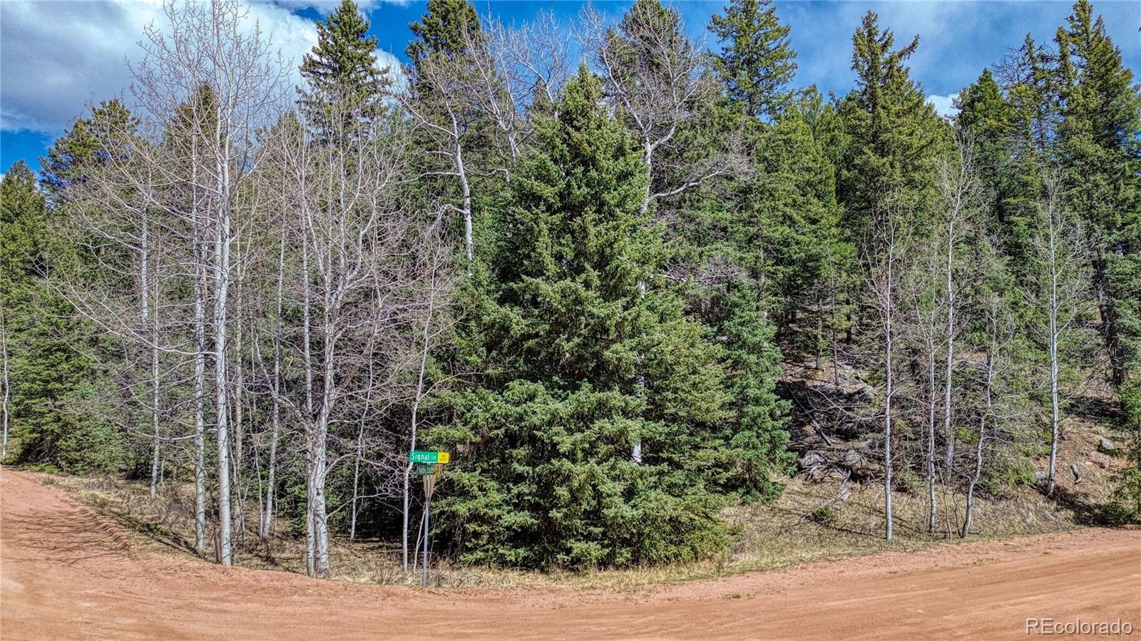 3075 N Mountain Estates Road Florissant CO 80816