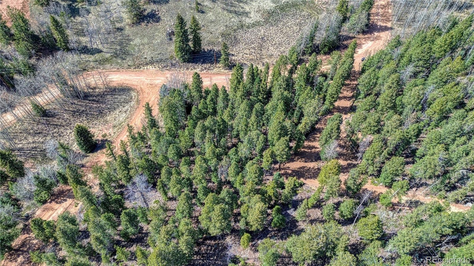 3075 N Mountain Estates Road Florissant CO 80816