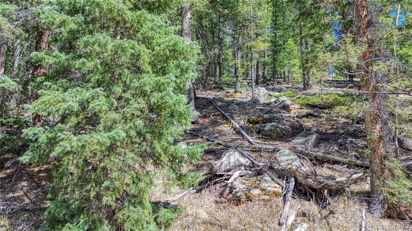 3075 N Mountain Estates Road Florissant CO 80816