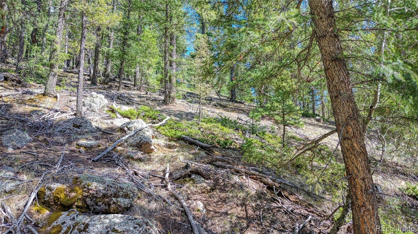 3075 N Mountain Estates Road Florissant CO 80816