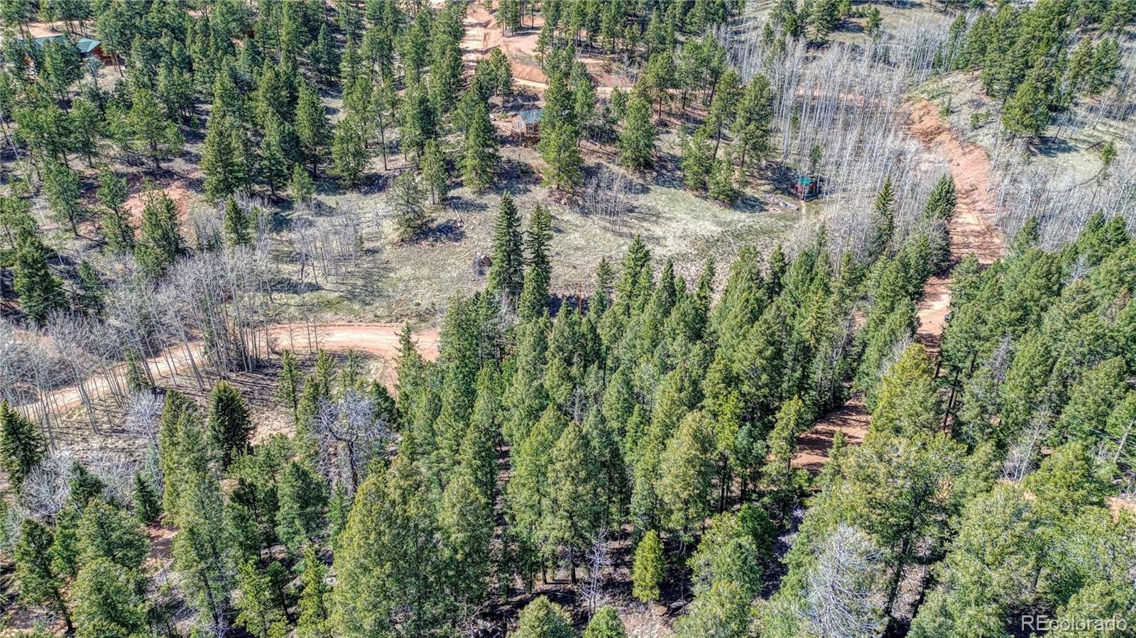3075 N Mountain Estates Road Florissant CO 80816