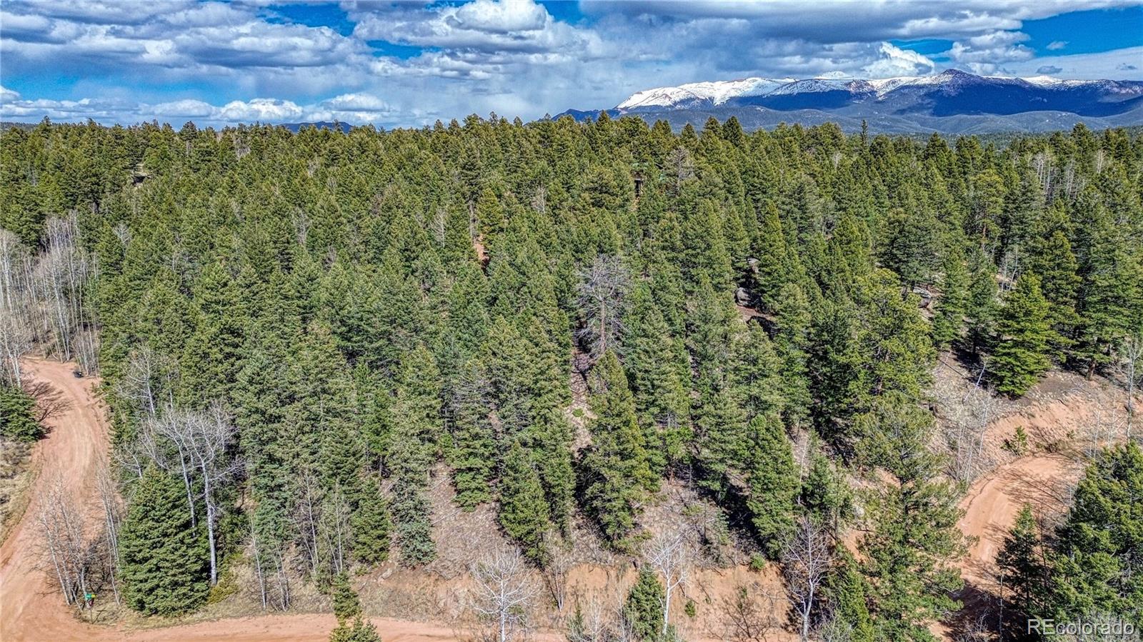 3075 N Mountain Estates Road Florissant CO 80816
