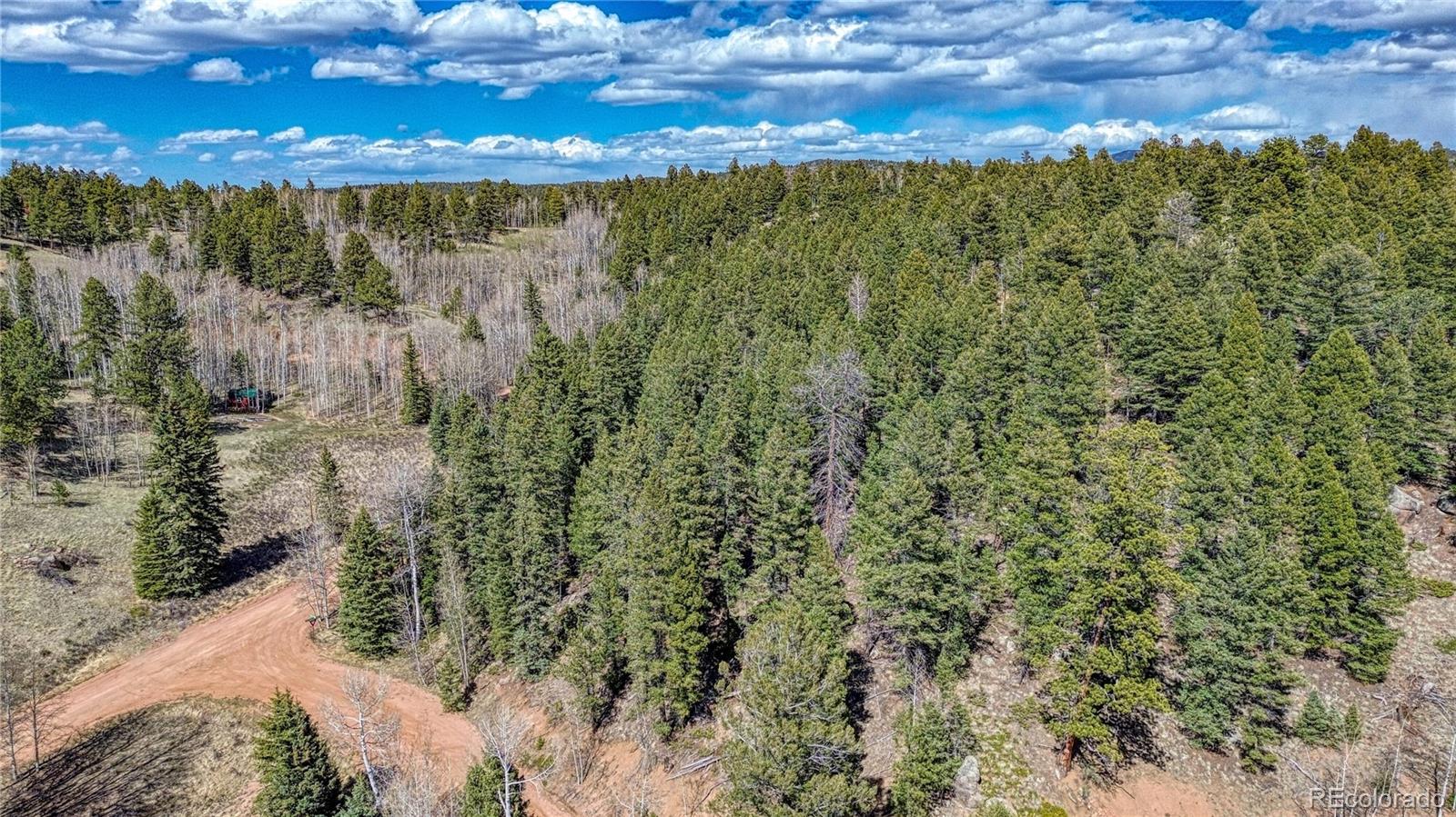 3075 N Mountain Estates Road Florissant CO 80816