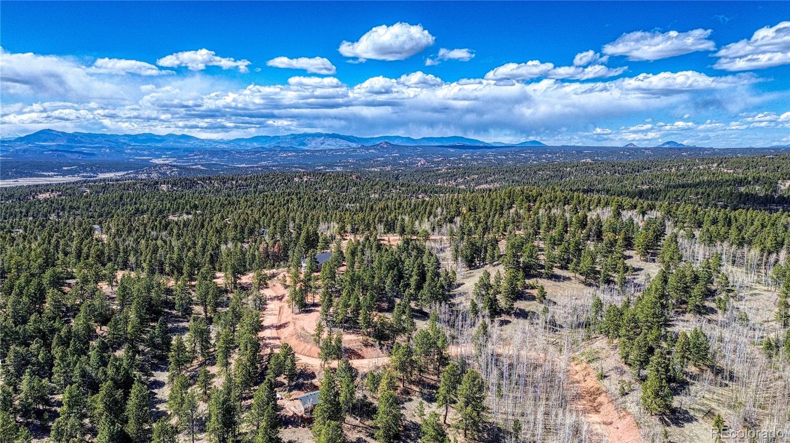3075 N Mountain Estates Road Florissant CO 80816