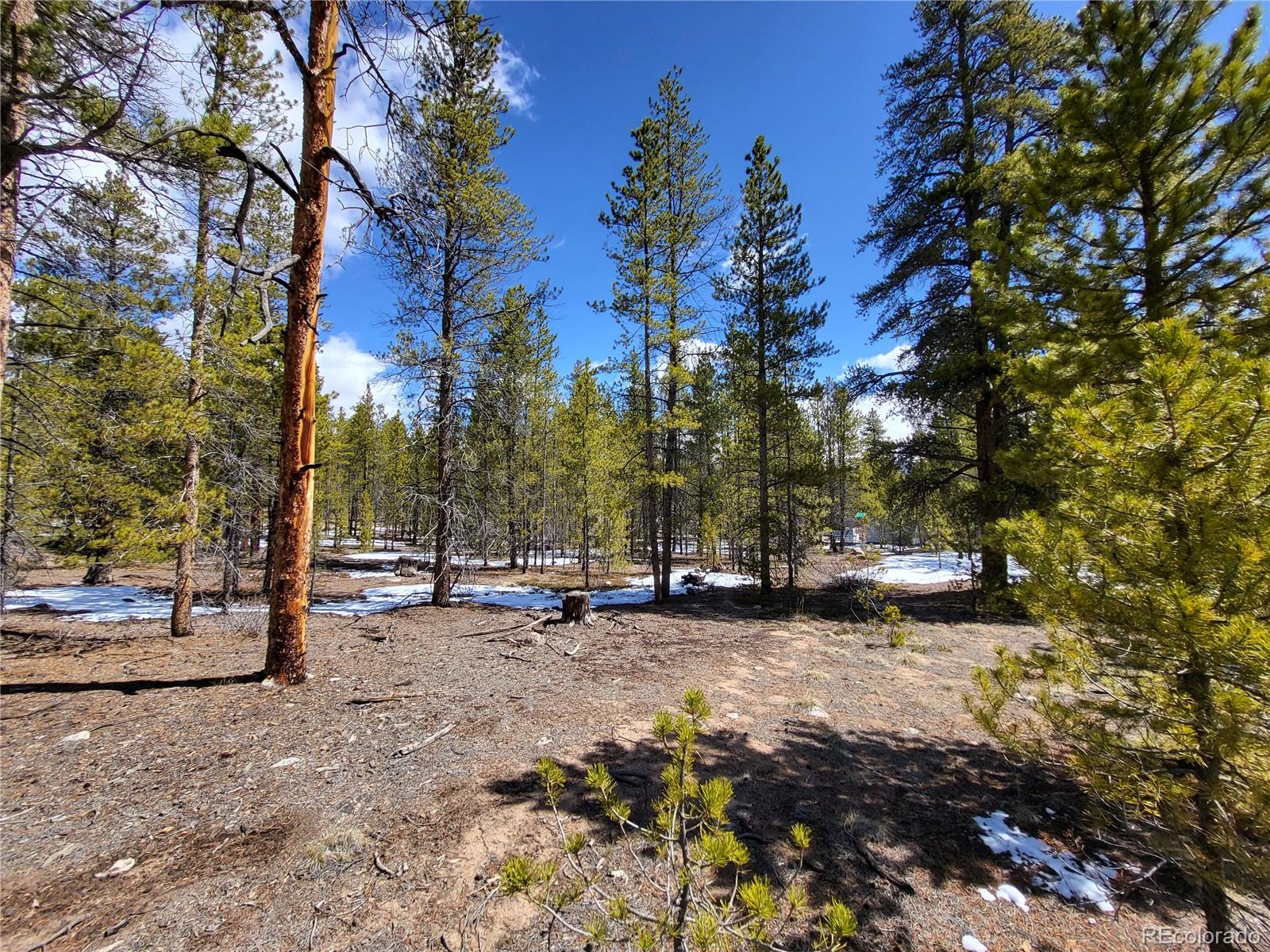 379 & 361 Juniper Drive Twin Lakes CO 81251