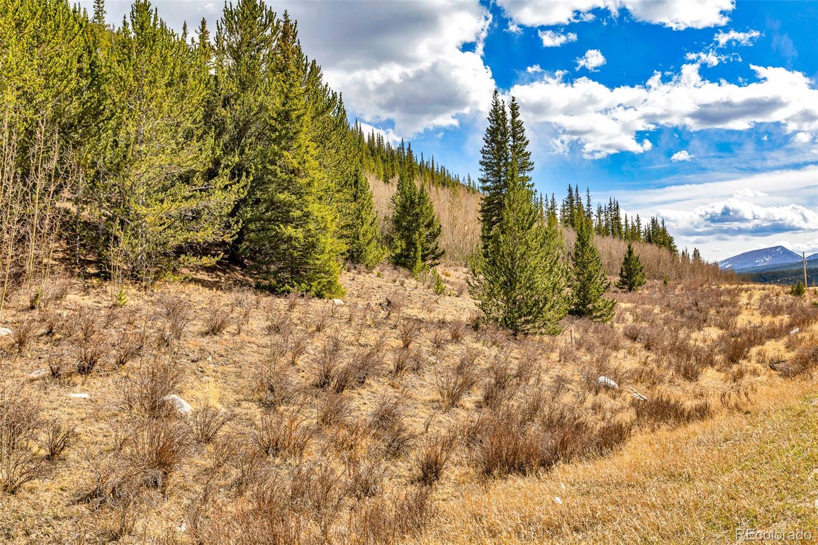 55780 Highway 9 Fairplay CO 80440