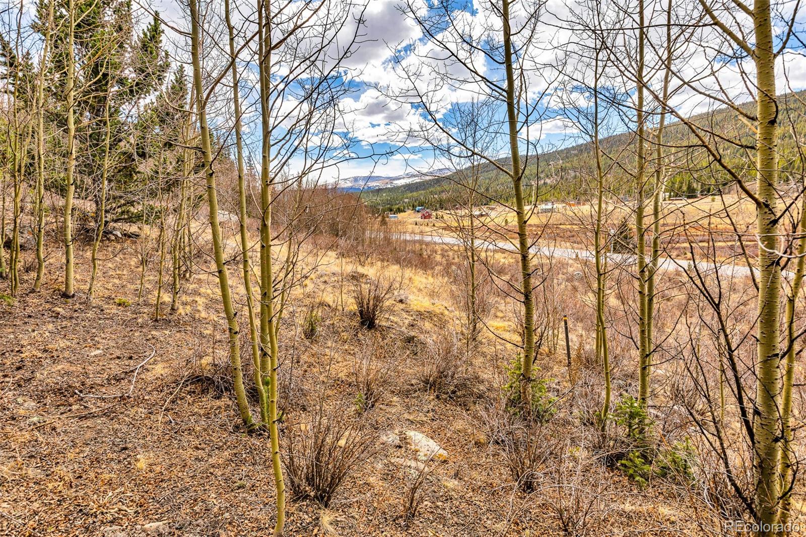 55780 Highway 9 Fairplay CO 80440