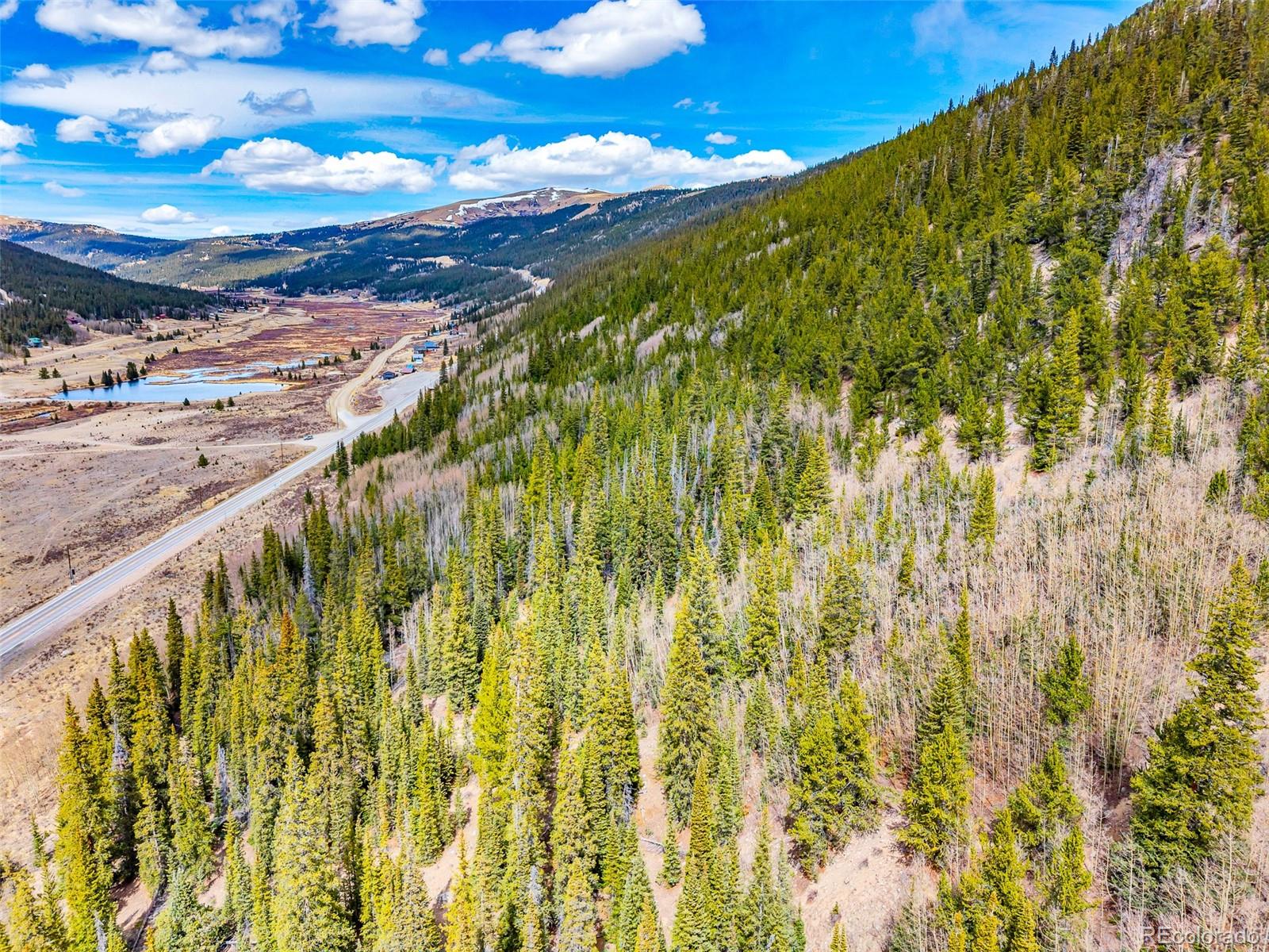 55780 Highway 9 Fairplay CO 80440