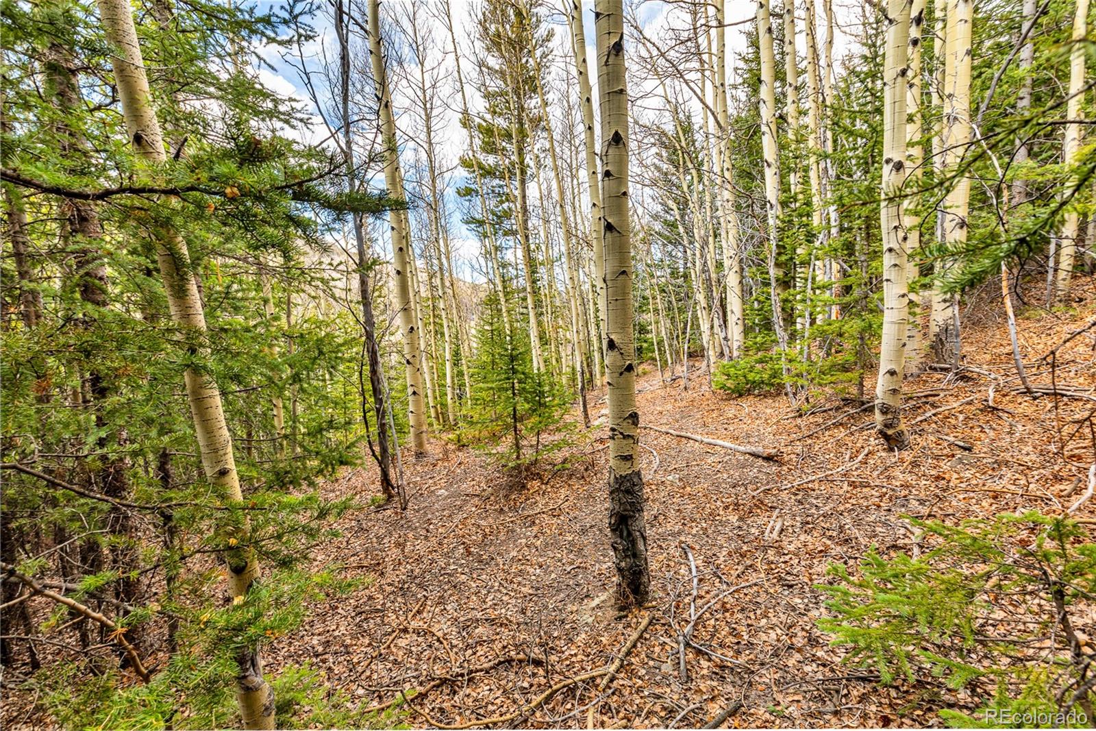 55780 Highway 9 Fairplay CO 80440