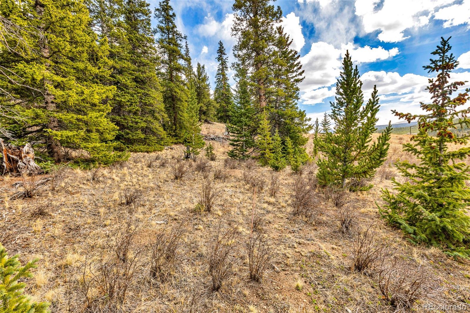 55780 Highway 9 Fairplay CO 80440