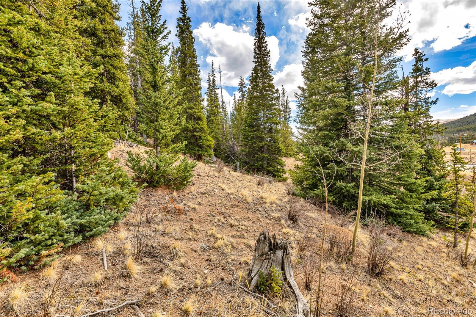 55780 Highway 9 Fairplay CO 80440