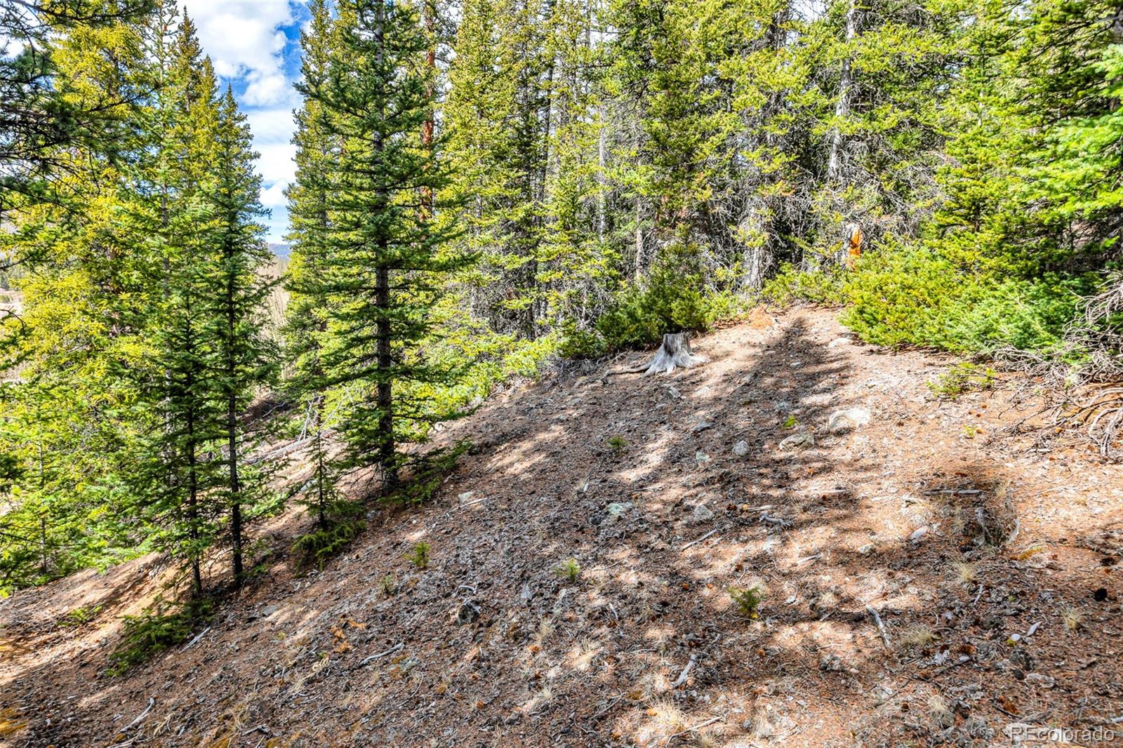 55780 Highway 9 Fairplay CO 80440
