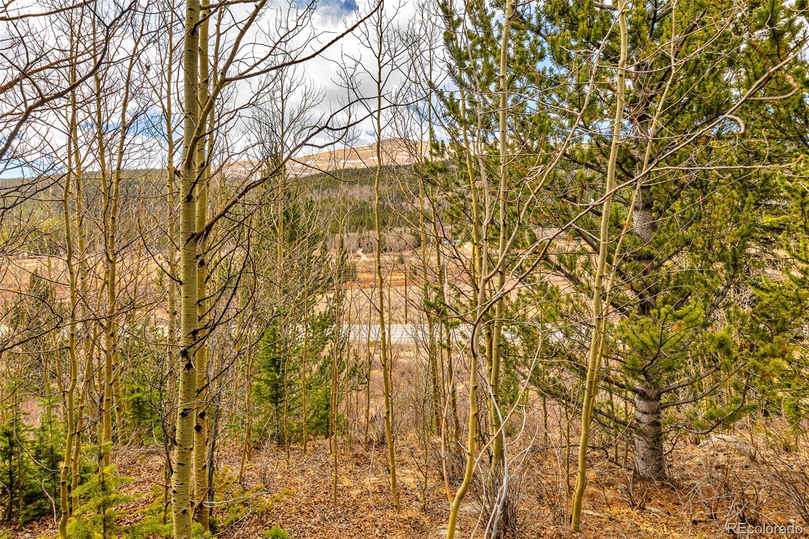 55780 Highway 9 Fairplay CO 80440