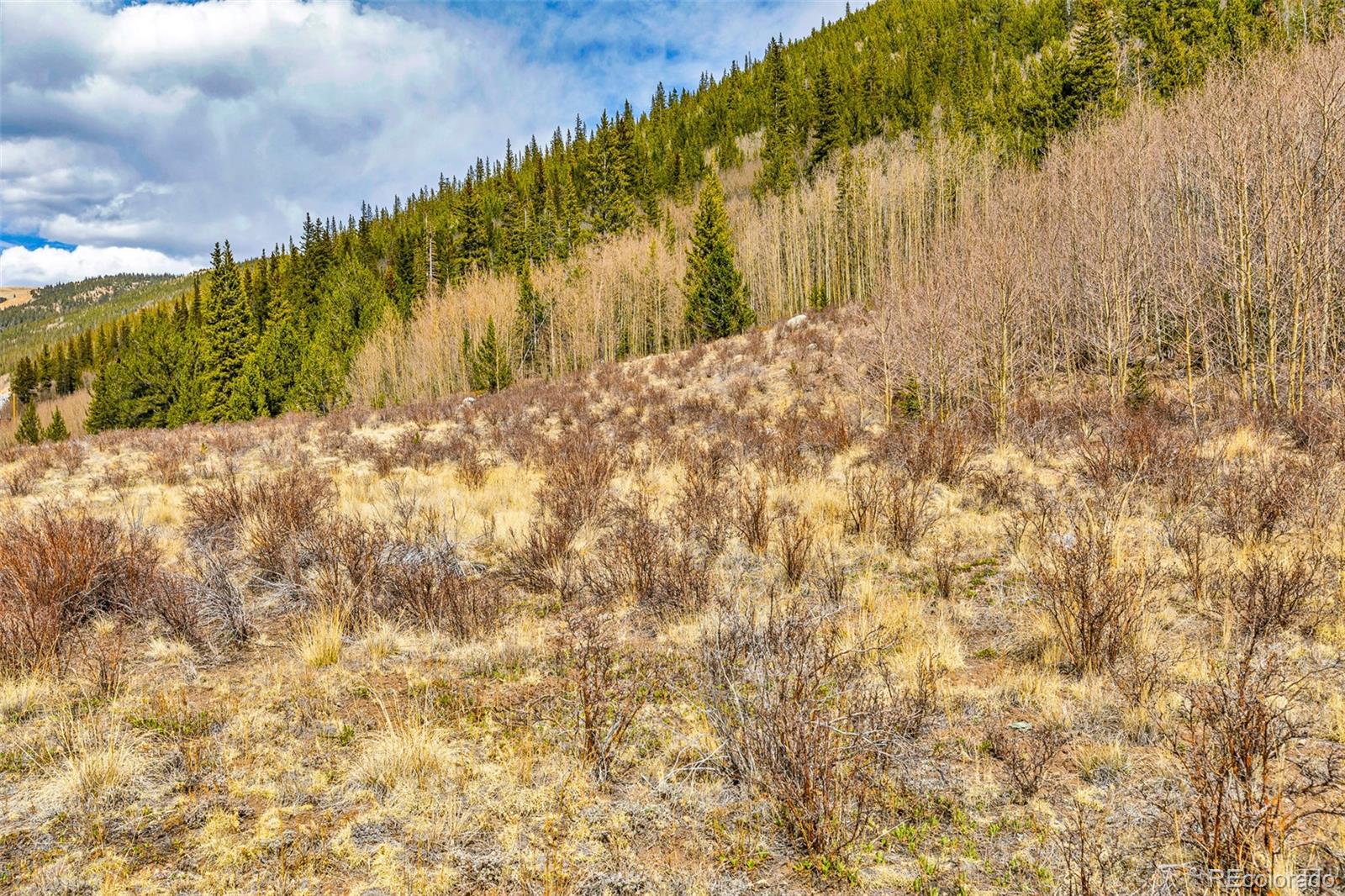55780 Highway 9 Fairplay CO 80440