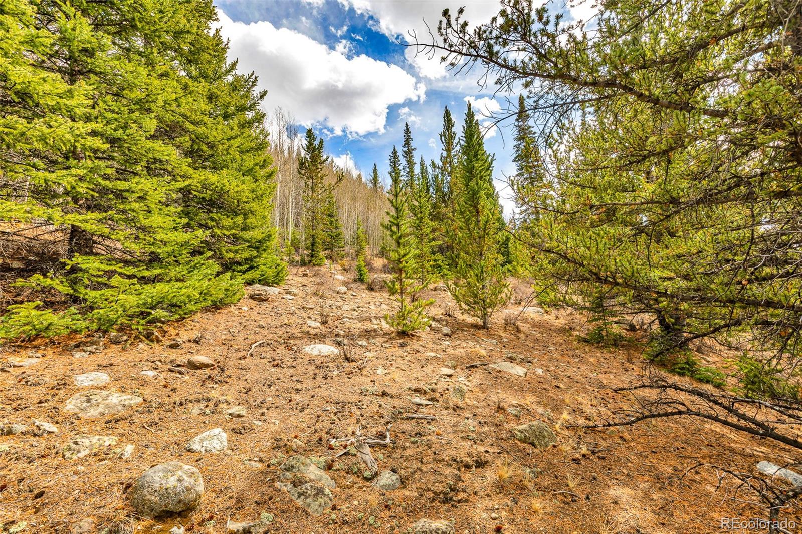 55780 Highway 9 Fairplay CO 80440