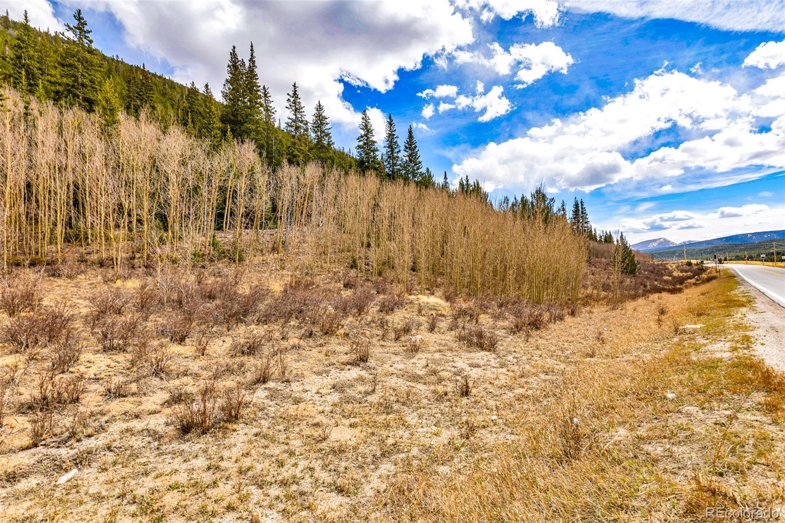 55780 Highway 9 Fairplay CO 80440